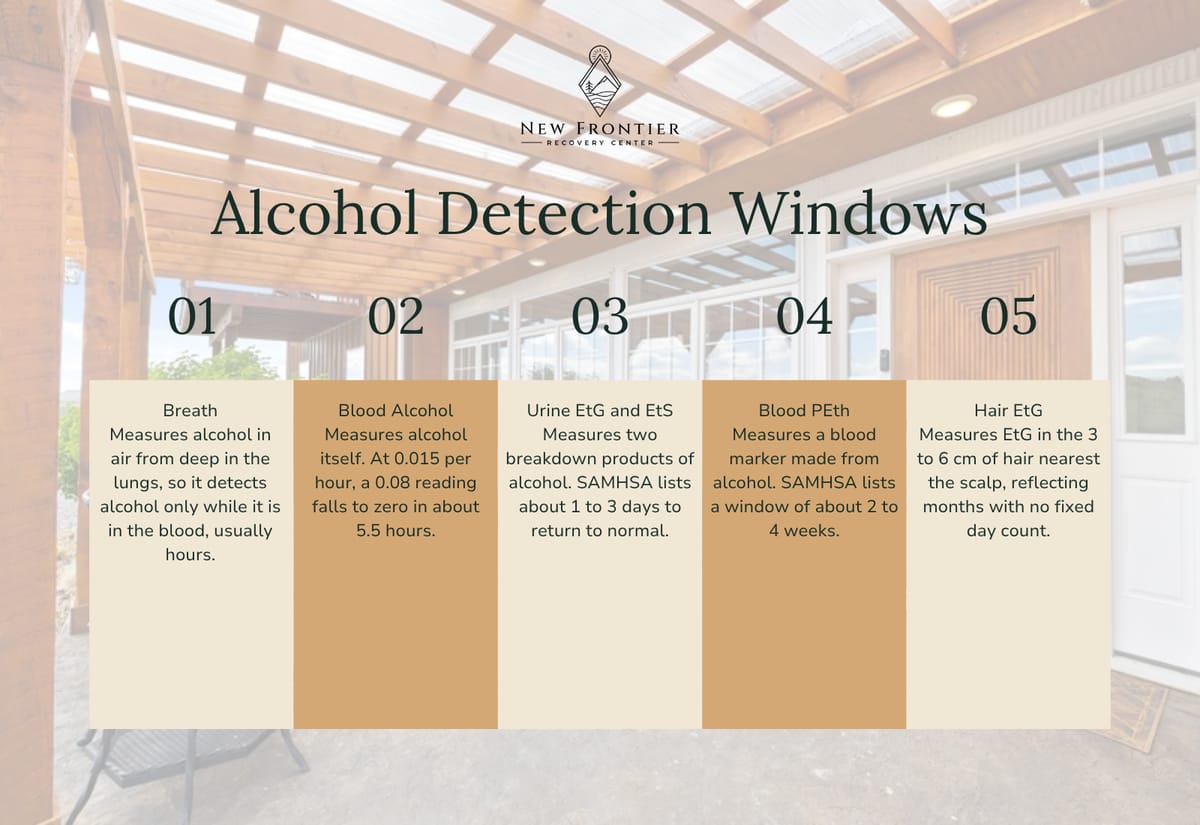 Alcohol detection windows by test: breath and blood for hours, urine EtG for 1 to 3 days, PEth for 2 to 4 weeks, and hair EtG for months.