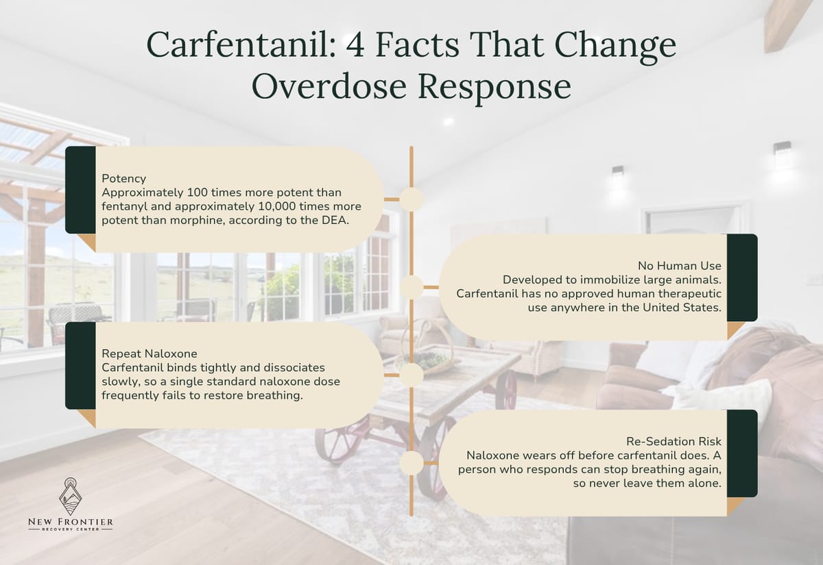 Four carfentanil facts that change overdose response: extreme potency, no human therapeutic use, the need for repeat naloxone, and re-sedation risk.