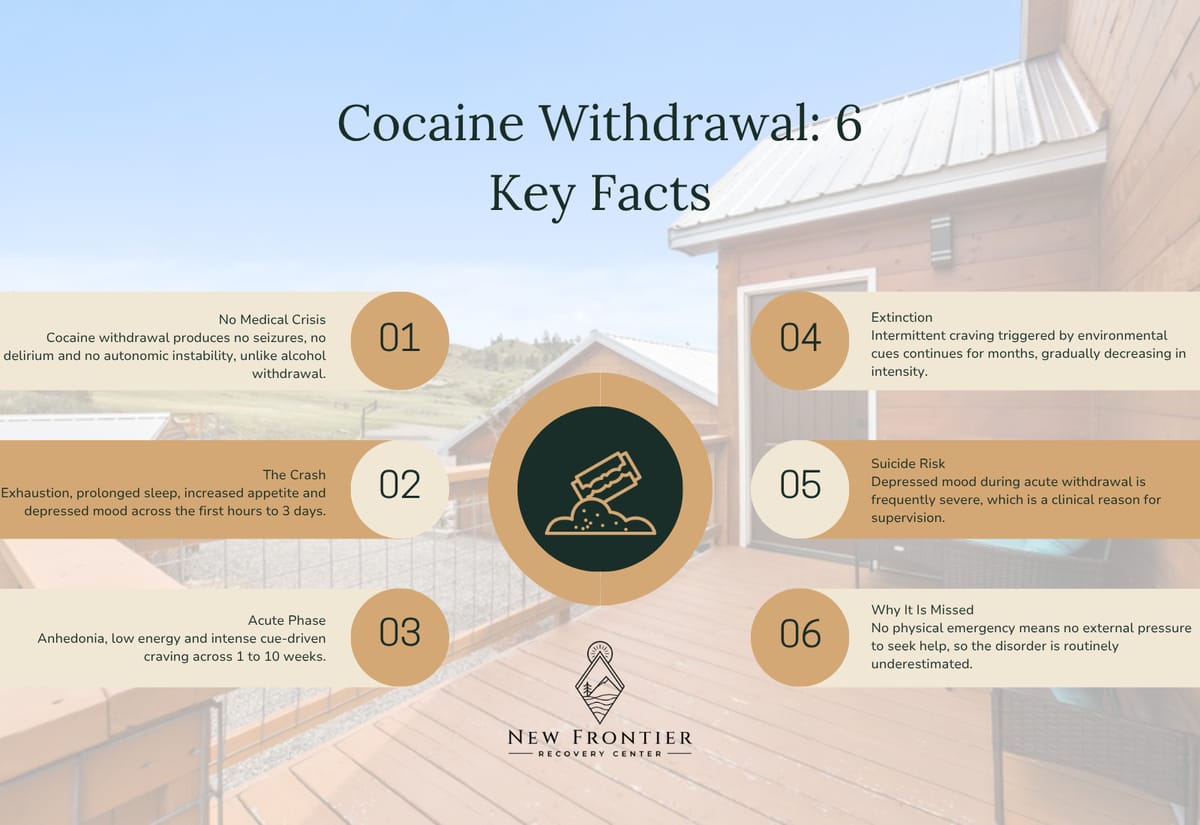 Six facts about cocaine withdrawal covering the absence of medical crisis, the crash, the acute phase, extinction, suicide risk, and why it is missed.