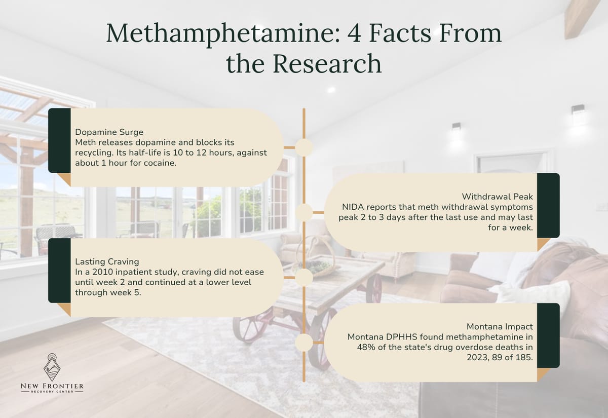 Four methamphetamine facts: a 10 to 12 hour half-life, withdrawal peaking at 2 to 3 days, craving lasting to week 5, and 48% of Montana overdose deaths.