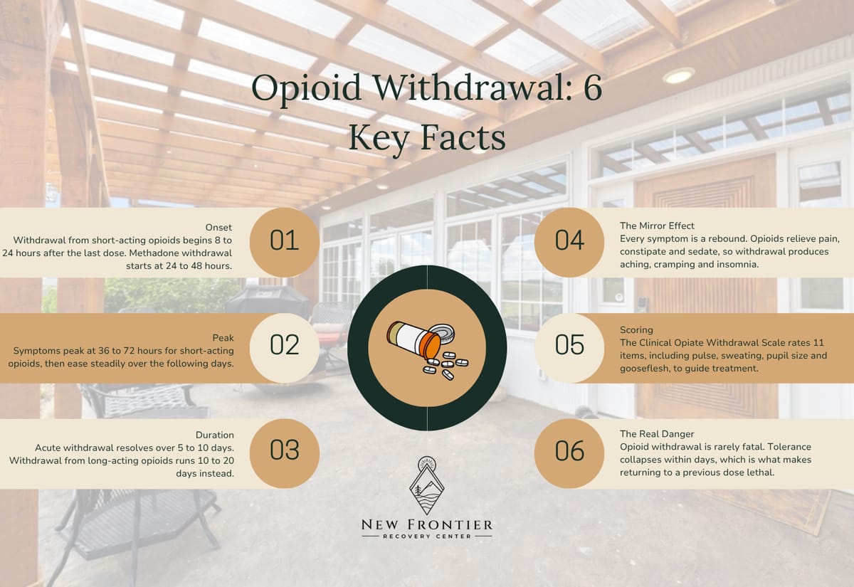Six facts about opioid withdrawal covering onset, peak, duration, the rebound effect, the COWS scale, and why tolerance loss makes relapse lethal.