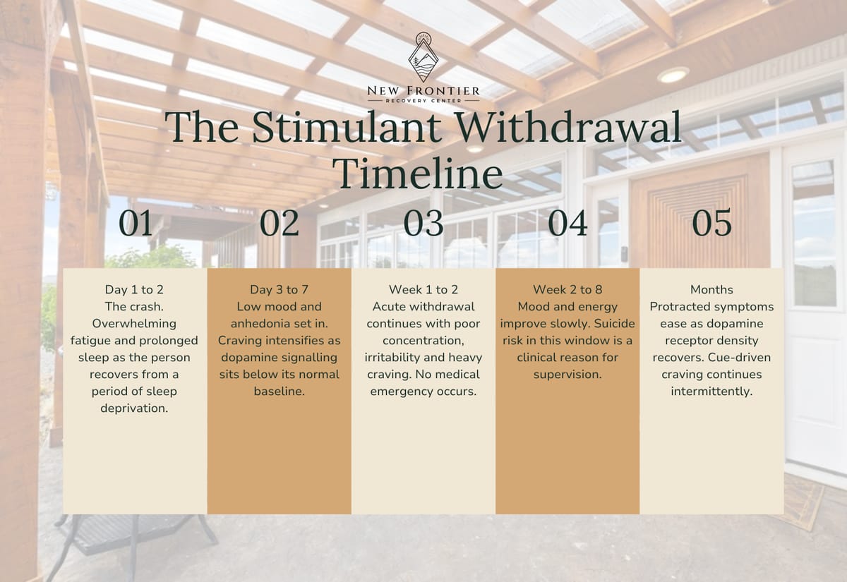 Five-stage stimulant withdrawal timeline from the day 1 to 2 crash through months of protracted symptoms.